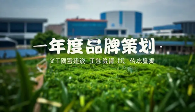 如何有效提升年度品牌策划内容呈现？
